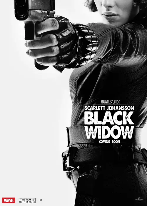 黑寡妇 Black Widow The Black Widow